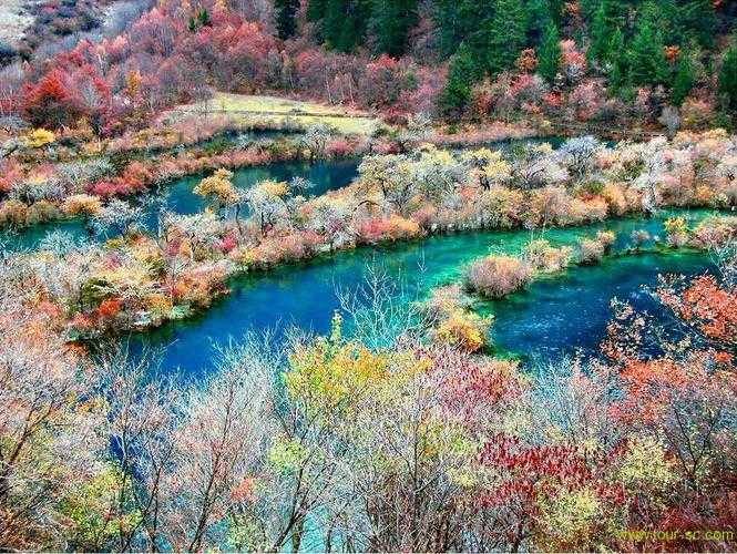 四川九寨沟旅游价格-四川九寨沟旅游费用大概多少