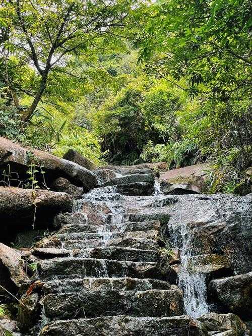 中山五桂山自然风景区_中山五桂山自然风景区北站乘几路公交车