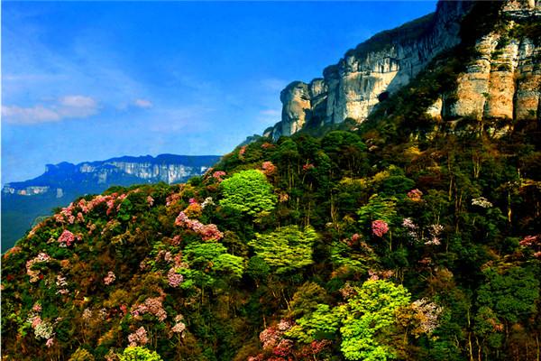 重庆南川金佛山风景区_重庆南川金佛山风景区门票多少