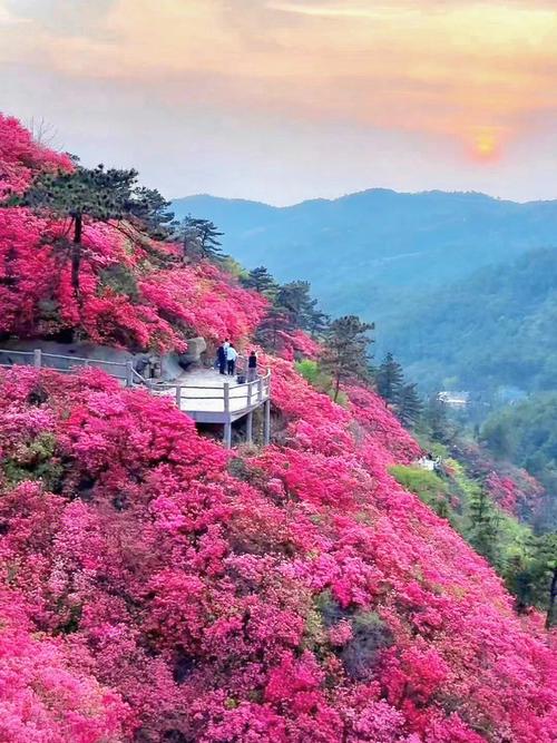 武汉木兰云雾山景区-武汉木兰云雾山景区旅游